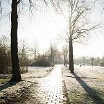 Winter sun reflects on the street