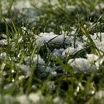 Snow on grass