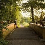 Bridge in the golden hour