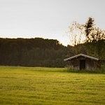 Small cabin in the golden hour