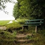 Green bench